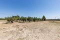 Einfamilienhaus zum Verkauf in Yecla in Spanish Fincas