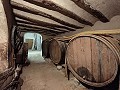 Groot historisch huis en bodega in Pinoso in Spanish Fincas