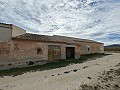 Groot historisch huis en bodega in Pinoso in Spanish Fincas