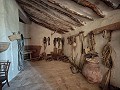 Grande maison historique et bodega à Pinoso in Spanish Fincas