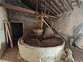 Grande maison historique et bodega à Pinoso in Spanish Fincas