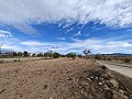 Large historic house and bodega en Pinoso in Spanish Fincas