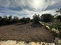 Belle maison de campagne de 7 chambres et 3 salles de bain avec piscine privée à Sax in Spanish Fincas