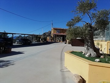 Villa avec piscine chauffée à Fortuna