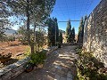 Maison de campagne de 2 chambres avec un très grand terrain in Spanish Fincas