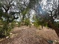 Immense maison de campagne de 6 chambres à Ubeda in Spanish Fincas