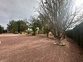 Riesiges Landhaus mit 6 Schlafzimmern in Ubeda in Spanish Fincas