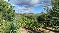 Villa à pied de la ville avec piscine et maison d'hôtes in Spanish Fincas