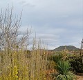 Villa a pie de ciudad con piscina y casa de huéspedes in Spanish Fincas