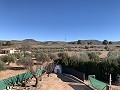 Villa à pied de la ville avec piscine et maison d'hôtes in Spanish Fincas