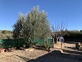 Villa a pie de ciudad con piscina y casa de huéspedes in Spanish Fincas