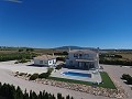 Atemberaubende Villa mit Swimmingpool und Gästehaus in Pinoso in Spanish Fincas