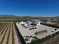 Impresionante villa con piscina y casa de invitados en Pinoso in Spanish Fincas