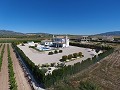 Impresionante villa con piscina y casa de invitados en Pinoso in Spanish Fincas