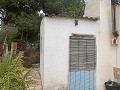 Proyecto de reforma con 4 dormitorios y piscina en La Romana. in Spanish Fincas