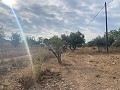 Proyecto de reforma con 4 dormitorios y piscina en La Romana. in Spanish Fincas