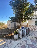 Proyecto de reforma con 4 dormitorios y piscina en La Romana. in Spanish Fincas