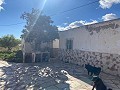 Projet de rénovation avec 4 chambres et piscine à La Romana in Spanish Fincas