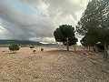 Dos Casas en Parcelas Separadas in Spanish Fincas