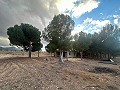 Deux maisons sur des parcelles séparées in Spanish Fincas