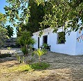 Schönes Landhaus mit großem Padelplatz in Spanish Fincas