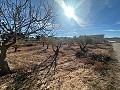 Geen Bouwgrond in Rodriguillo, Pinoso in Spanish Fincas