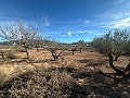 Keines Baugrundstück in Rodriguillo, Pinoso in Spanish Fincas