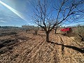 None Building Plot in Rodriguillo, Pinoso in Spanish Fincas