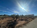 Geen Bouwgrond in Rodriguillo, Pinoso in Spanish Fincas