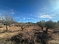 Parcela sin edificar en Rodriguillo, Pinoso in Spanish Fincas