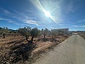 Geen Bouwgrond in Rodriguillo, Pinoso in Spanish Fincas