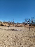 Villa met 3 slaapkamers en 2 badkamers in Spanish Fincas