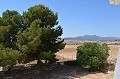 Impressionnante maison de ville dans un petit village avec grande bodega et piscine in Spanish Fincas