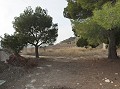 Cute Cave House To Renovate in Spanish Fincas