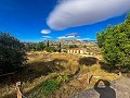 Prachtige moderne villa in L'Alcoraia 18 minuten naar het strand in Spanish Fincas