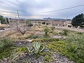 2 casas de campo en novelda in Spanish Fincas