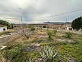 2 maisons de campagne à Novelda in Spanish Fincas