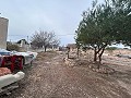 2 maisons de campagne à Novelda in Spanish Fincas