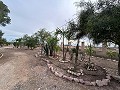 2 maisons de campagne à Novelda in Spanish Fincas