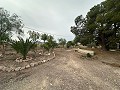 2 maisons de campagne à Novelda in Spanish Fincas