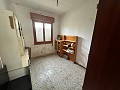 2 country homes in novelda in Spanish Fincas