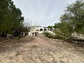 2 country homes in novelda in Spanish Fincas