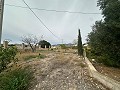 2 country homes in novelda in Spanish Fincas