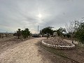 2 maisons de campagne à Novelda in Spanish Fincas