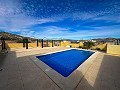 Incredible villa with pool in Pinoso in Spanish Fincas