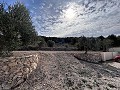 Incroyable villa avec piscine à Pinoso in Spanish Fincas