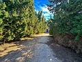 Lovely country home in Sax in Spanish Fincas