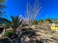 Beautiful country house with pool in Monóvar in Spanish Fincas