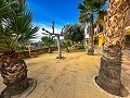 Superbe villa à Petrer avec piscine et vue imprenable in Spanish Fincas