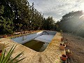 Haus/Chalet in Urb Loma Bada in Spanish Fincas